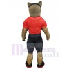 Loup costume de mascotte
