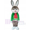 Lapin costume de mascotte