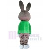 Lapin costume de mascotte