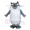 Chat costume de mascotte