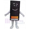 Panneau solaire costume de mascotte
