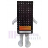 Panneau solaire costume de mascotte