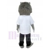 Lion costume de mascotte
