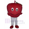 Pomme costume de mascotte