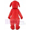 Chien Clifford costume de mascotte