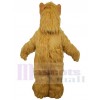 Monstre ALF costume de mascotte