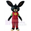 Lapin costume de mascotte