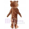 Ours costume de mascotte