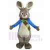 Lapin de Pâques costume de mascotte