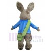 Lapin de Pâques costume de mascotte