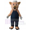 Cochon costume de mascotte