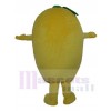 mangue costume de mascotte