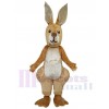 Kangourou costume de mascotte