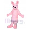 Lapin costume de mascotte