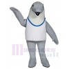 Dauphin costume de mascotte