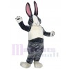Lapin costume de mascotte