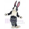 Lapin costume de mascotte