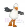 Sam Diego Mouette costume de mascotte