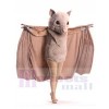 Chauve-souris Stellaluna costume de mascotte