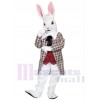 Lapin costume de mascotte