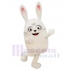 Lapin costume de mascotte
