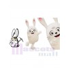 Lapin costume de mascotte