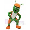 Insecte costume de mascotte