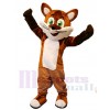 Renard costume de mascotte