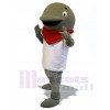 Dauphin costume de mascotte