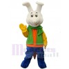 Lapin costume de mascotte