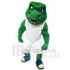 Crocodile costume de mascotte