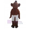 Singe costume de mascotte