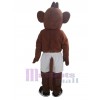 Singe costume de mascotte