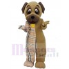 Chien Labrador costume de mascotte
