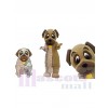 Chien Labrador costume de mascotte
