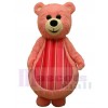 Ours costume de mascotte