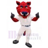 Sanglier costume de mascotte