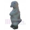 Ours polaire costume de mascotte
