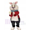 Lapin costume de mascotte