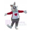 Lapin costume de mascotte