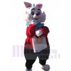 Lapin costume de mascotte