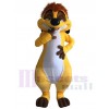 Timon suricate costume de mascotte