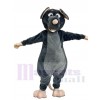 Souris costume de mascotte