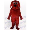Costume drôle de mascotte d'animal de Brown Rooney Dog Animal