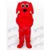 Costume de mascotte adulte Red Rooney Dog