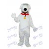 Chien blanc avec mascotte collier adulte Costume Animal