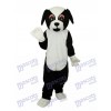 Mascotte de chien noir Costume adulte Animal