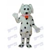 Sealy Potter Mascotte de chien Costume adulte Animal