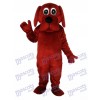 Rooney Brown Mascotte de chien Costume adulte Animal
