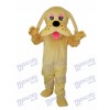 Mascotte de chien Costume adulte Animal